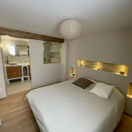 Maison En Pierre Avec Sa Piscine Chauffee * Le Bouscat