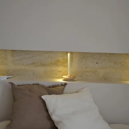 Maison En Pierre Avec Sa Piscine Chauffee * Le Bouscat